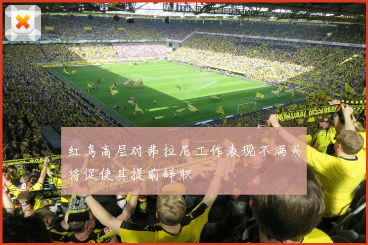 红鸟高层对弗拉尼工作表现不满或将促使其提前辞职