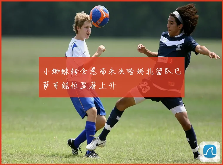 小蜘蛛转会悬而未决哈姆扎留队巴萨可能性显著上升